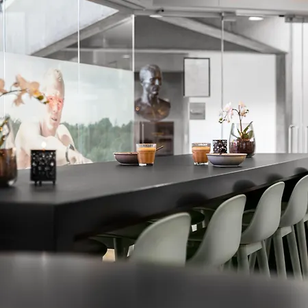 Idraettens Hus Og Konference Hotel 3*