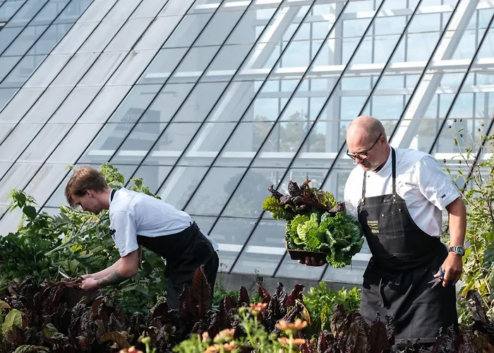 Idraettens Hus Og Konference 호텔