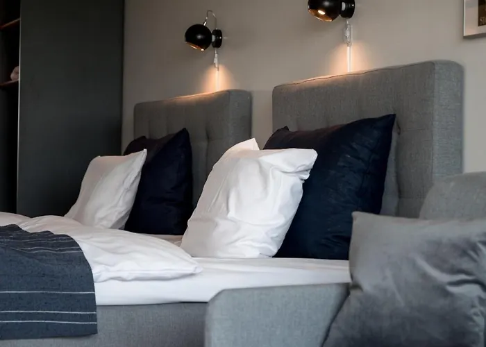 酒店 Idraettens Hus Og Konference 3*